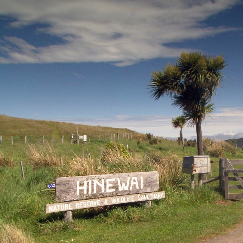 hinewai-reserve-banks-peninsula-4