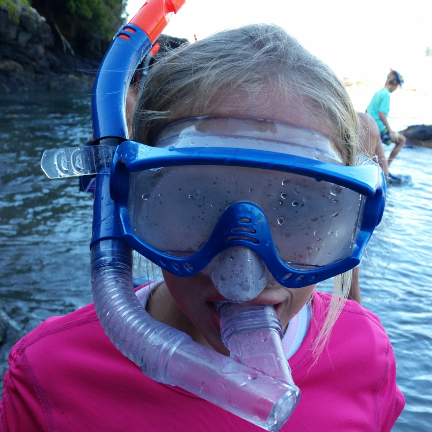 snorkelling