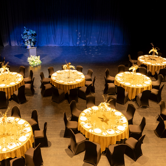 papa-hou-black-box-theatre-performance-venue-christchurch-12