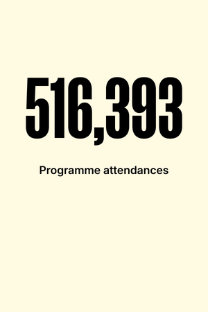 516,393